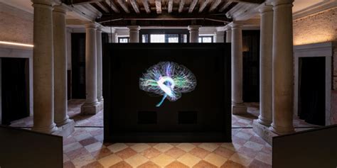 human brains venice